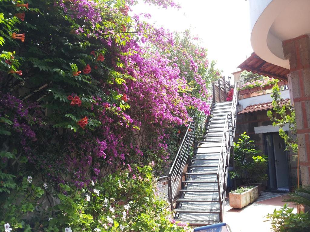 Eden Bleu Hotel Vico Equense Ngoại thất bức ảnh